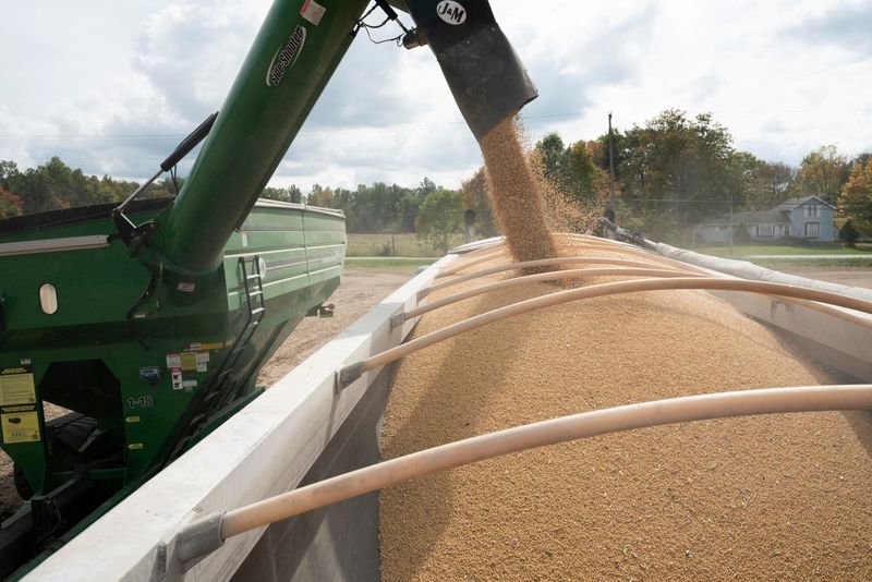 © Reuters. Soybeans are loaded into a truck from a transfer hopper during harvest season in Deerfield, Ohio, U.S., October 7, 2021.  REUTERS/Dane Rhys