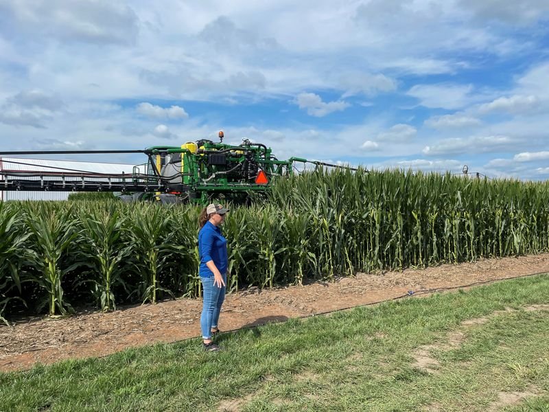 © Reuters. FILE PHOTO: A view shows short stature corn growing next to regular corn at Bayer research farm in Jerseyville, Illinois, U.S., August 11, 2022. REUTERS/Karl Plume/File Photo